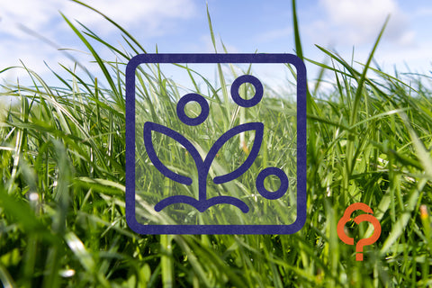 At a glance: Crop fertiliser