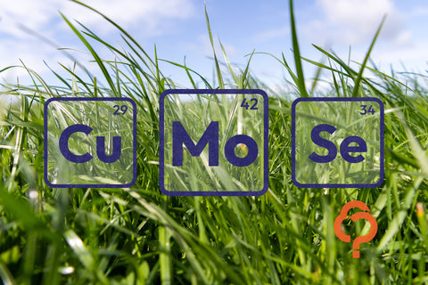 At a glance: Trace elements explained