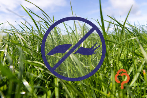At a glance: Pasture pests