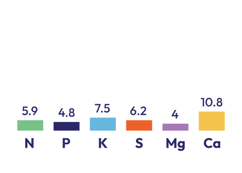 15% Potash Sulphur Mag N component graph