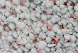 30% Potash Super 