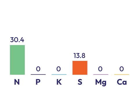 Ammo 31 component graph