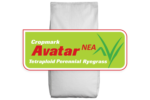 Avatar NEA Tetraploid Treated