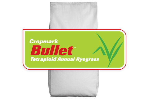 Bullet Annual Ryegrass Treated
