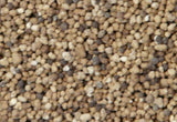 Cropmaster® DAP 