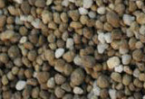 Cropmaster® 16 High K 