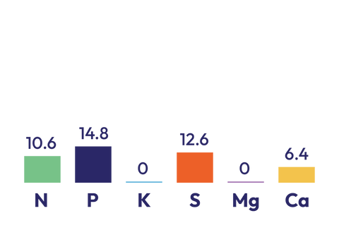 DAP 13 S components graph