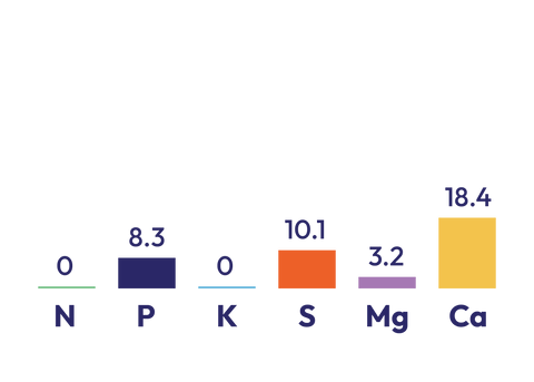 Magnesium Super component graph