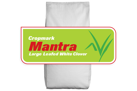 Mantra White Clover Freshcote