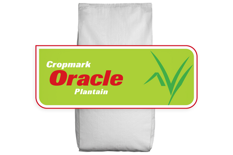 Oracle Plantain