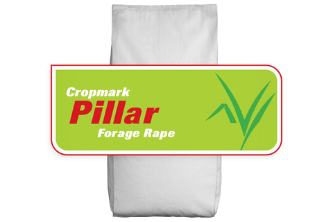 Pillar Rape