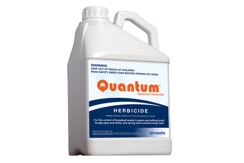 Quantum ® 