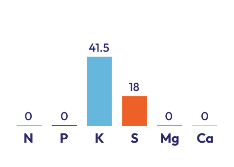 SOP component graph