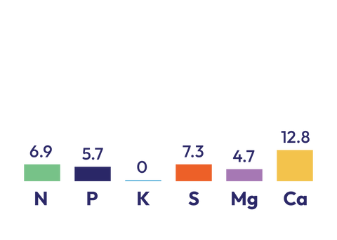 Super Mag N component graph