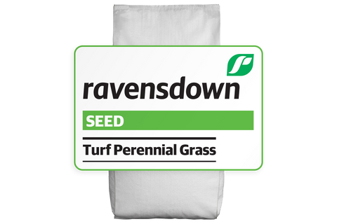 Turf Perrenial Grass